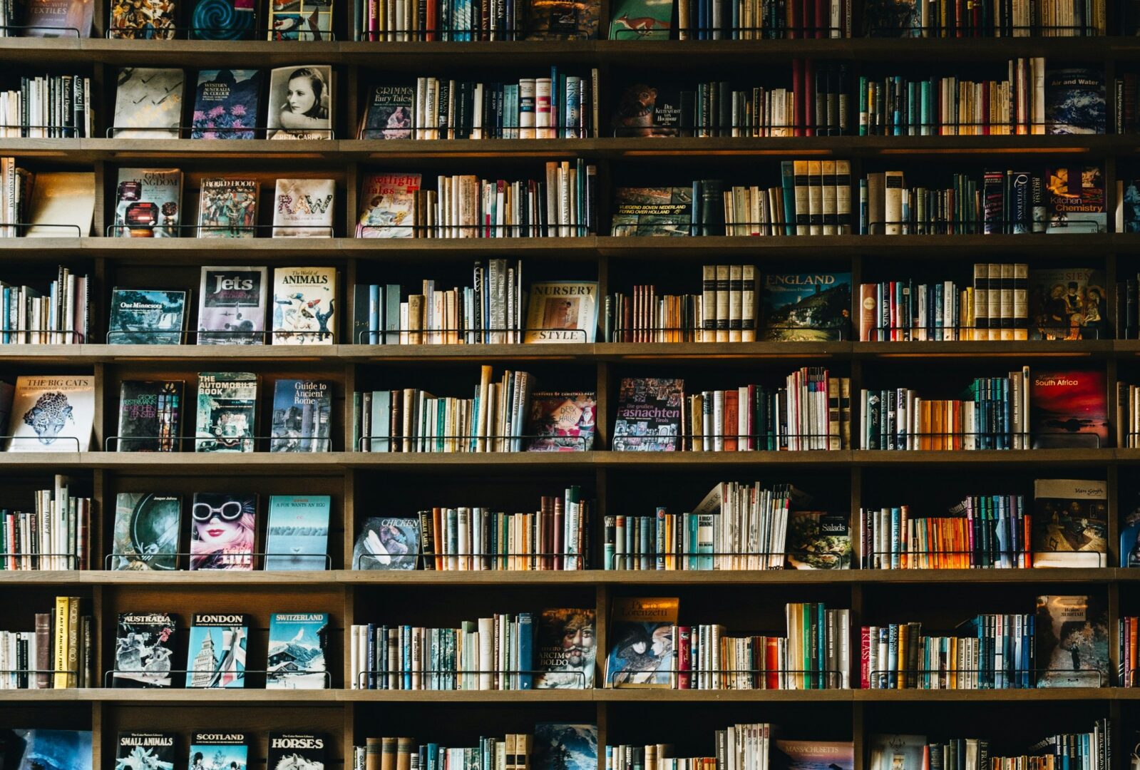 book-unsplash